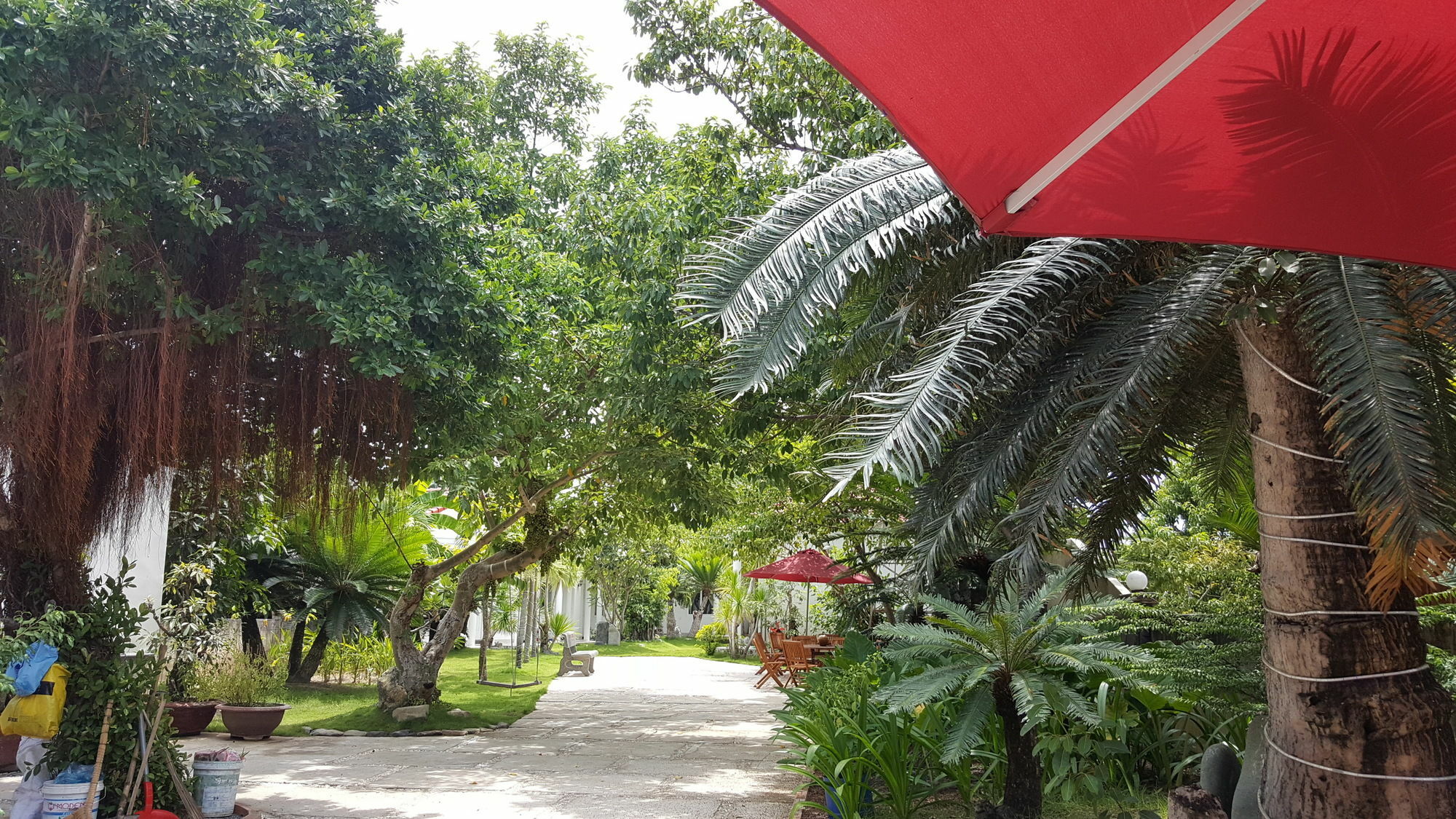 Dragon Bay Hotel Cam Lam Kültér fotó